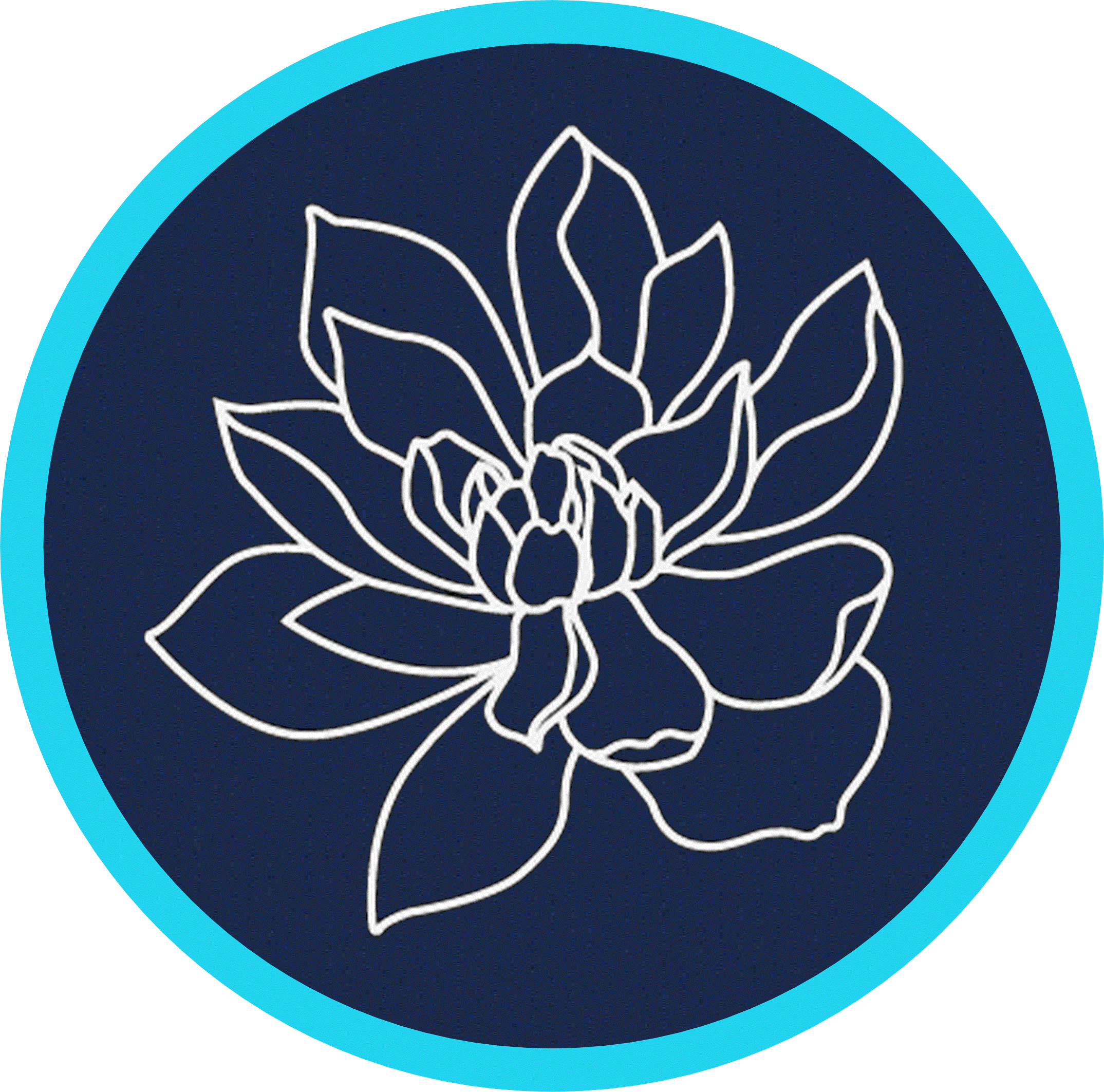 Sadowski Aesthetics Logo